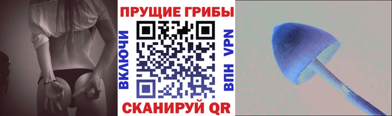 что такое   Сарапул  Псилоцибиновые грибы MAGIC MUSHROOMS 